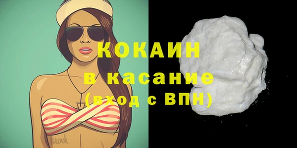 винт Пересвет