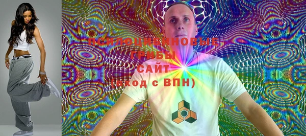 винт Пересвет