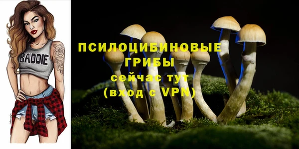 твердый Пестово