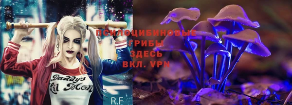 гидра Абинск