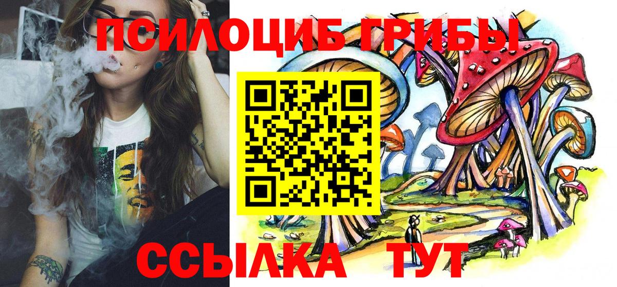 Людиново  купить  цена  Вход с VPN  Галлюциногенные грибы Cubensis 