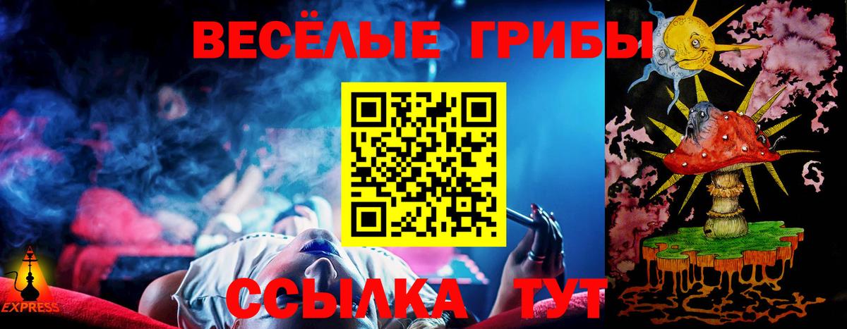 Псилоцибиновые грибы GOLDEN TEACHER Людиново